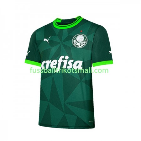 Fußballtrikots Palmeiras 2023-2024 Kurzarm Heimtrikotsatz kaufen